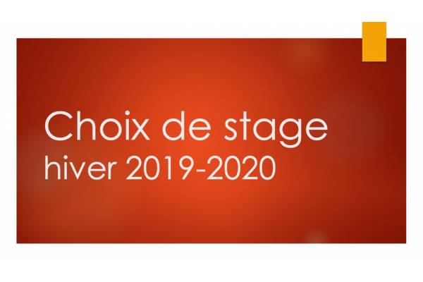 Choix de stage hiver 2019-2020